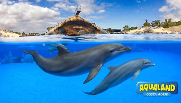 Royal Ocean View - Top Localization Costa Adeje  ภายนอก รูปภาพ
